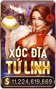 icon-xocdiatulinh